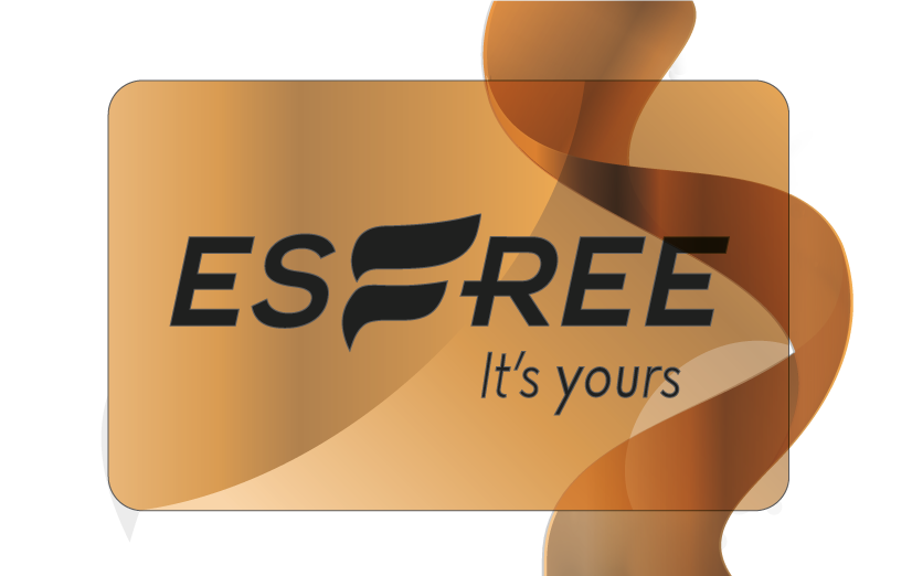ESFREE_VOUCHER_PREMIER_3